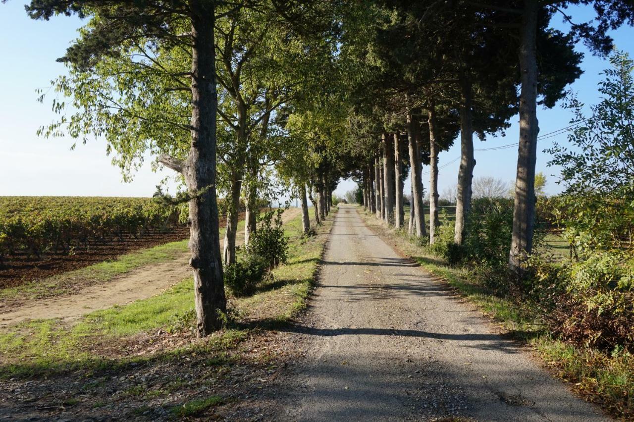 Le Clos Des Troubadours Panzió Pennautier Kültér fotó